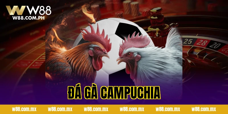 Đá Gà Campuchia Trực Tuyến