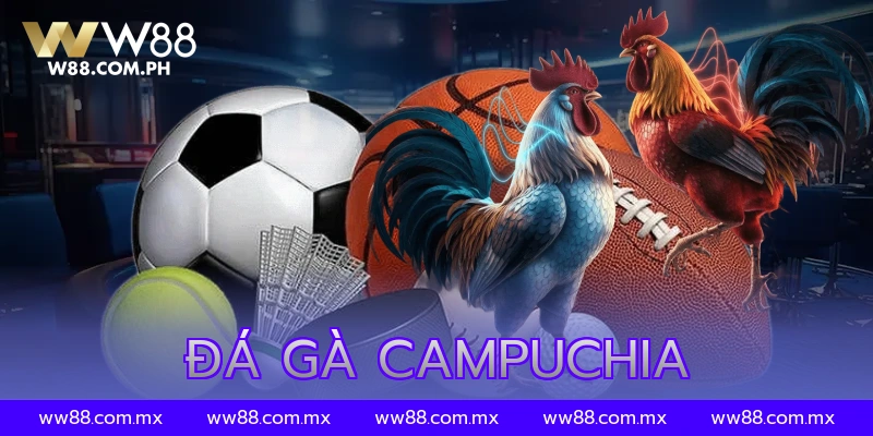 đá gà campuchia