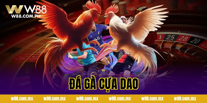 Đá Gà Cựa Dao Thomo