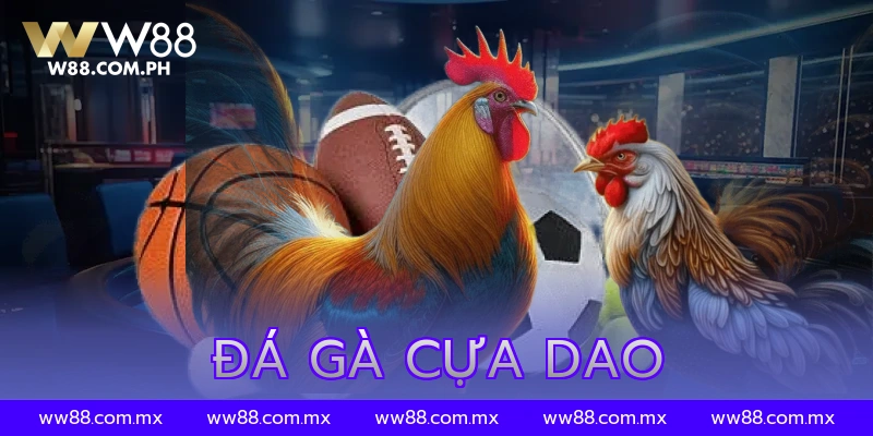 đá gà cựa dao