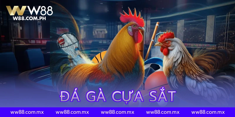 đá gà cựa sắt