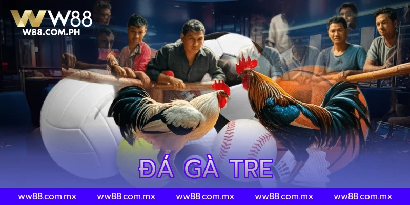 đá gà tre