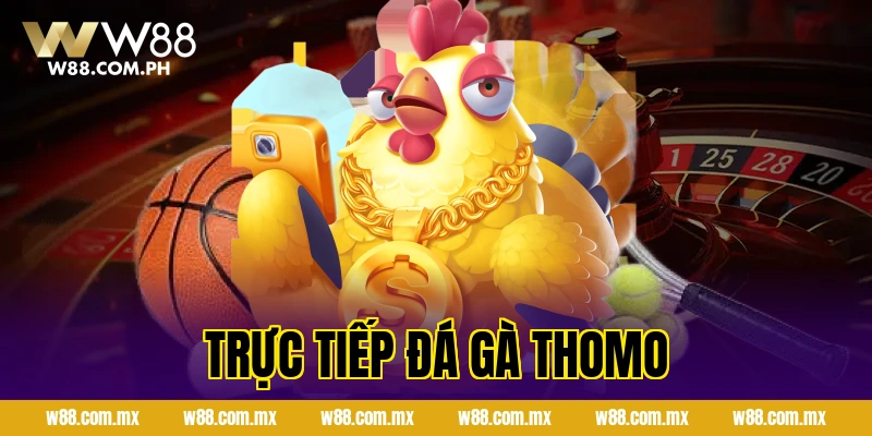 Trực Tiếp Đá Gà Thomo